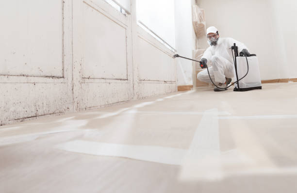 24/7 Emergency Mold Cleanup experts in Emporia, VA